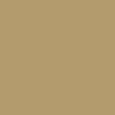 NettFront Inomat Gold