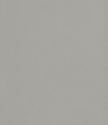 F765 ST20 18 Brushed Silverszürke bútorlap